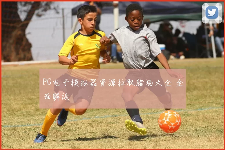 PG电子模拟器资源拉取赌场大全 全面解读