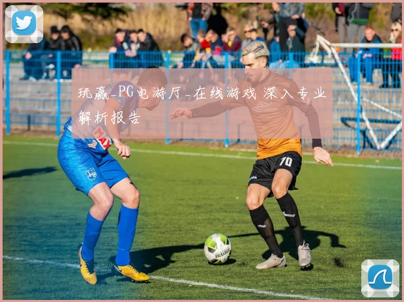 玩赢_PG电游厅_在线游戏 深入专业解析报告