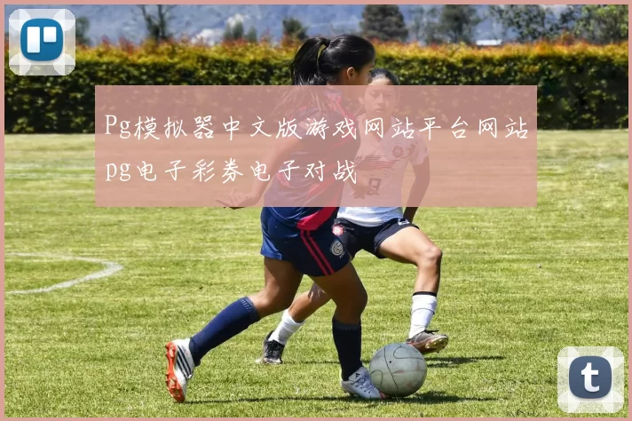 Pg模拟器中文版游戏网站平台网站pg电子彩券电子对战
