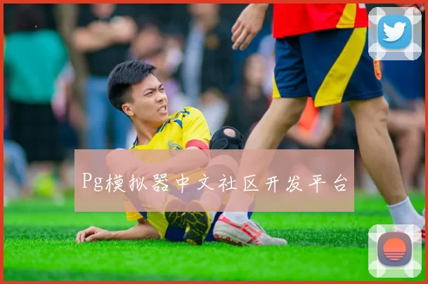 Pg模拟器中文社区开发平台