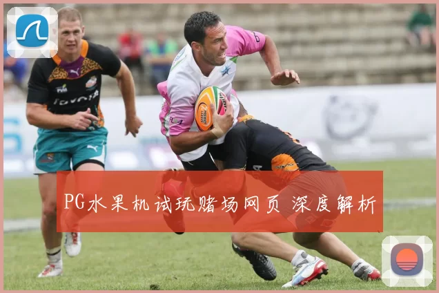 PG水果机试玩赌场网页 深度解析