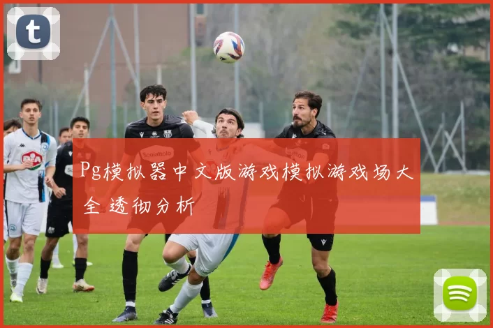 Pg模拟器中文版游戏模拟游戏场大全 透彻分析