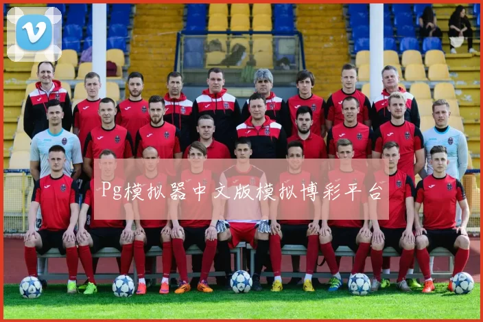 Pg模拟器中文版模拟博彩平台