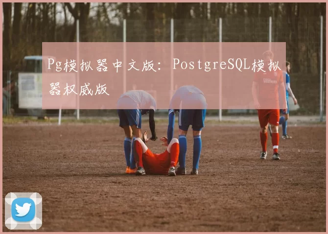 Pg模拟器中文版：PostgreSQL模拟器权威版
