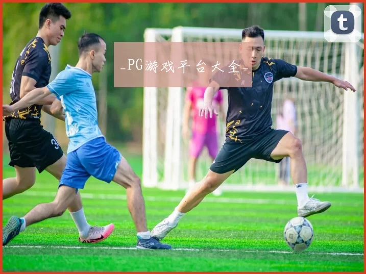 _PG游戏平台大全_