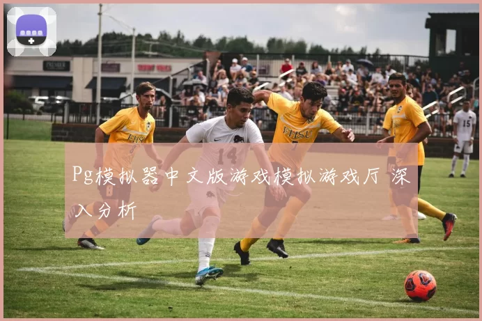 Pg模拟器中文版游戏模拟游戏厅 深入分析