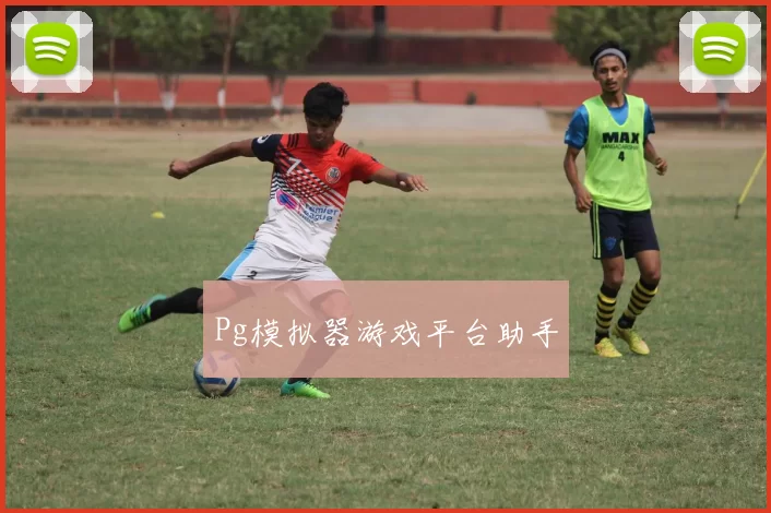 Pg模拟器游戏平台助手