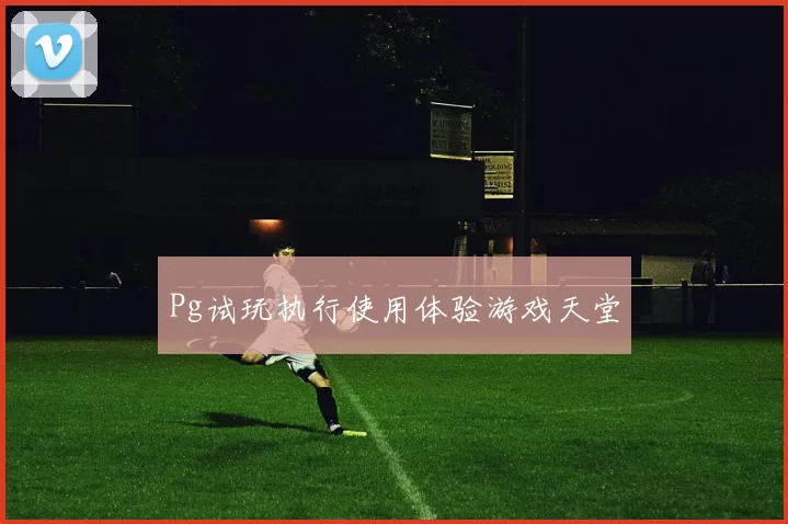 Pg试玩执行使用体验游戏天堂