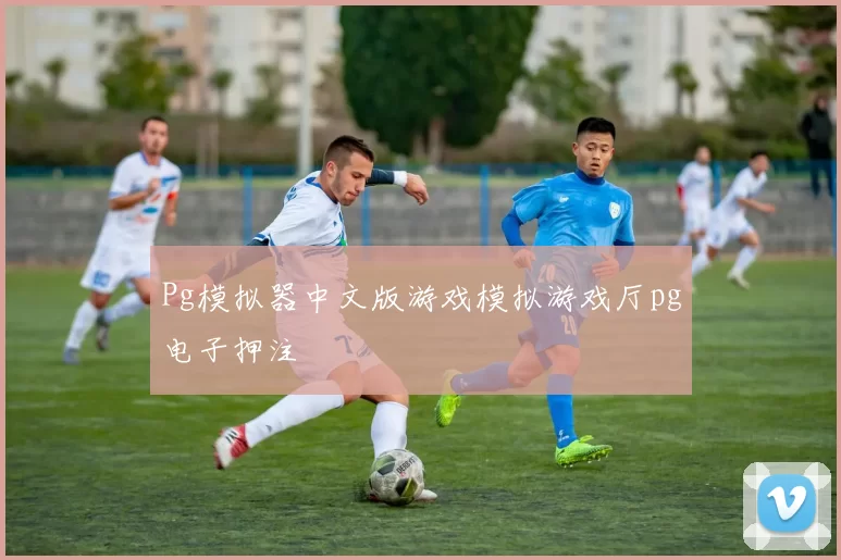 Pg模拟器中文版游戏模拟游戏厅pg电子押注