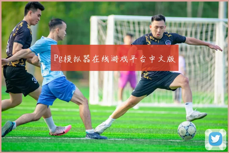 Pg模拟器在线游戏平台中文版