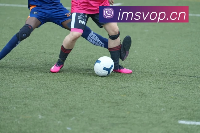 pg模拟器发展历程